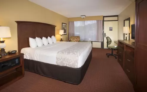 Rosen Inn Lake Buena Vista - Standard Room Rosen Inn Lake Buena Vista - Standard Room