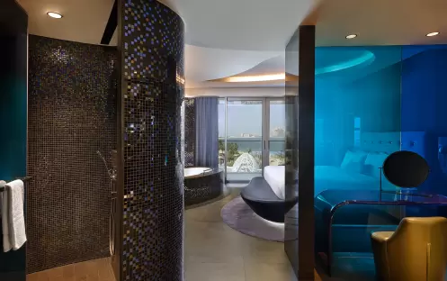 W-Suite_-Shower