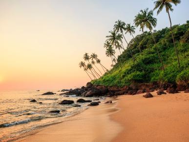 Goa Goa