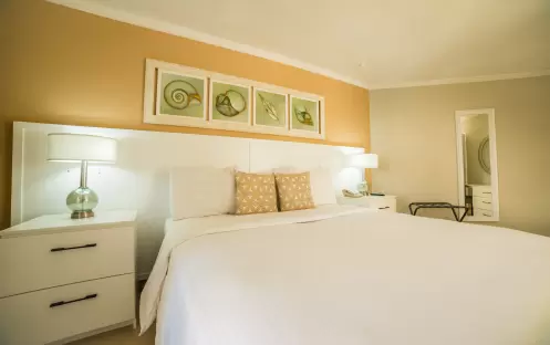 Standard Room Standard Room