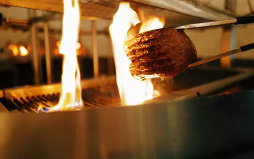 Carnivorous Restaurant Carnivorous Restaurant