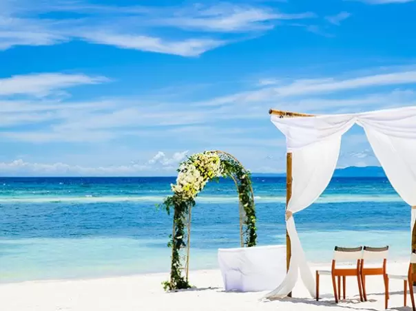 Tropical Luxury