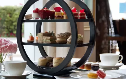 The Lounge The Lounge