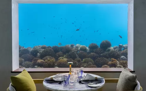 Only BLU Only BLU