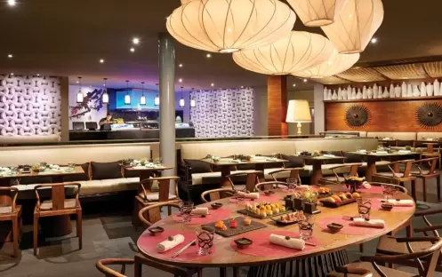 Oka Sushi Oka Sushi