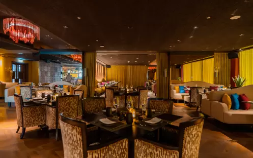 Barfly-Indoor Barfly-Indoor