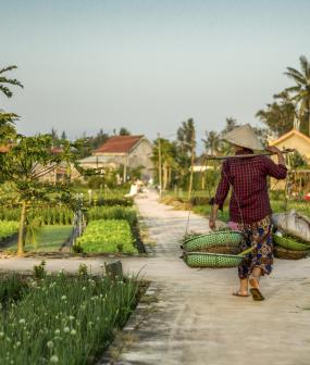 Hoi An & Da Nang