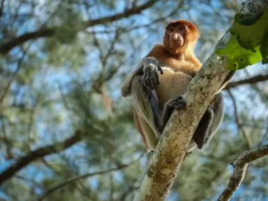 Discover Nature