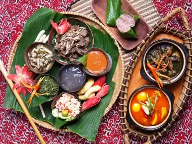 Discover Food