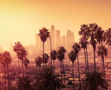 Hollywood