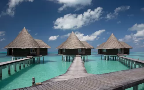 Coco Palm Dhuni Kolhu - Rooms - Lagoon Villa Coco Palm Dhuni Kolhu - Rooms - Lagoon Villa