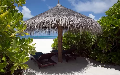 Coco Palm Dhuni Kolhu - Rooms - Sunset Beach Villa Coco Palm Dhuni Kolhu - Rooms - Sunset Beach Villa
