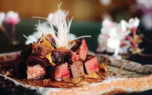 D MARIS BAY - ZUMA DiSH D MARIS BAY - ZUMA DiSH