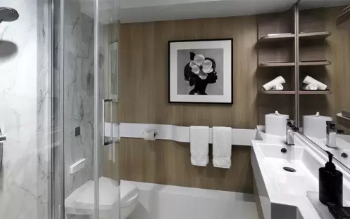 Celebrity Cruises Celebrity Edge Deluxe Ocean View Stateroom Celebrity Cruises Celebrity Edge Deluxe Ocean View Stateroom