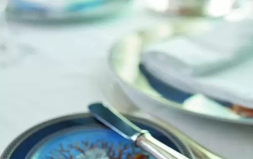 VOY_CompassRose_2016_5932 VOY_CompassRose_2016_5932