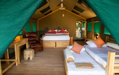 Elephant Hills The Bush Camp (2 Days 1 Night) Elephant Hills The Bush Camp (2 Days 1 Night)