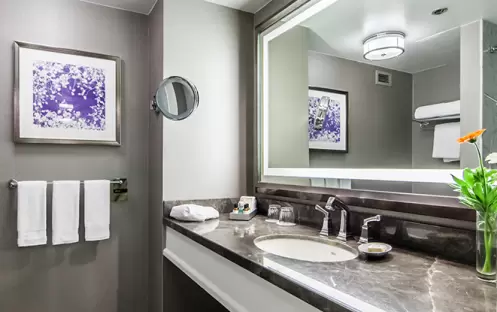 Deluxe Room 2 Double Double Bathroom Deluxe Room 2 Double Double Bathroom
