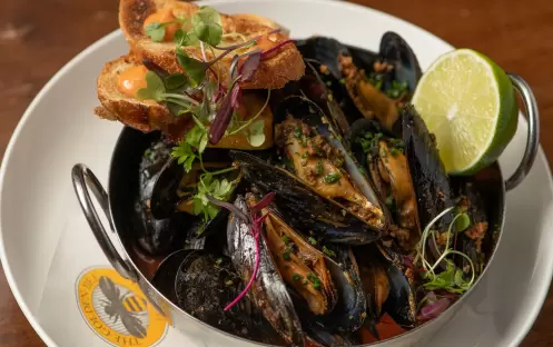 Golden Bee Mussels Golden Bee Mussels