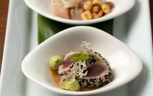 Summit Dish Summit Dish