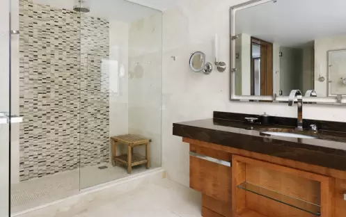 Deluxe Mountain-View Room Shower Deluxe Mountain-View Room Shower