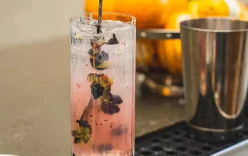 Edge Bar Dragon's Tonic Edge Bar Dragon's Tonic