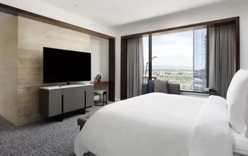 Premier One-Bedroom Suite Premier One-Bedroom Suite