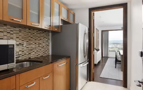 Premier One-Bedroom Suite Premier One-Bedroom Suite