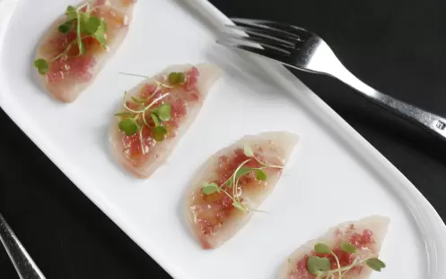 Scarpetta Scarpetta