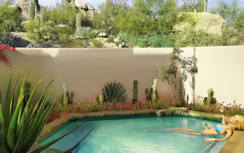 Oasis Plunge Pool Suite One Bedroom Oasis Plunge Pool Suite One Bedroom