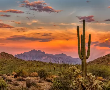 Arizona