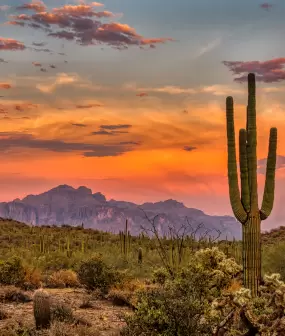 Arizona