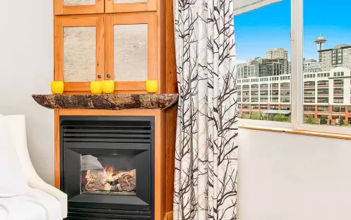 City View Double Fireplace City View Double Fireplace