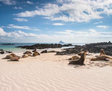 Galápagos Cruises