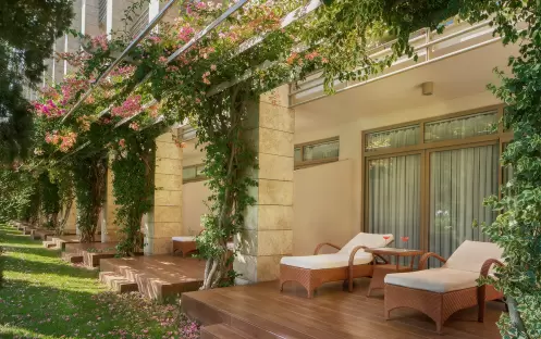 Superior Room Laguna