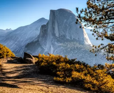 Northern California Charm
