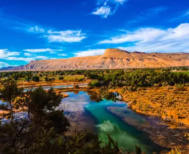 American Outback