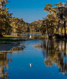 Louisiana