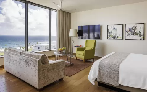 Ocean View Deluxe Guestroom King Ocean View Deluxe Guestroom King