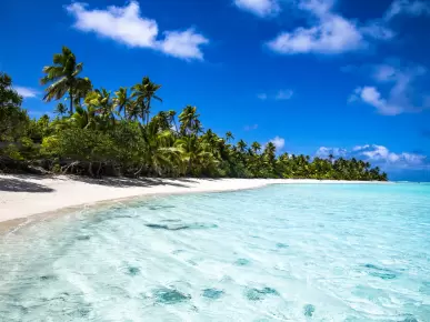 Tonga Tonga