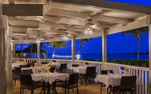 Palapa Palapa