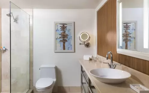 Deluxe Room Bathroom Deluxe Room Bathroom