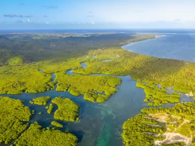 Anavilhanas Archipelago Anavilhanas Archipelago