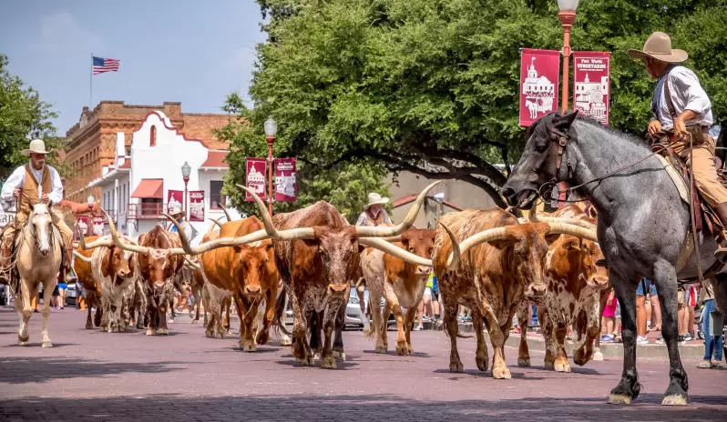 Fort Worth, Stockyards Fort Worth, Stockyards