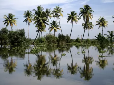 Kerala Backwaters Kerala Backwaters