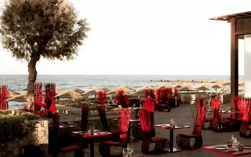 Blue Monkey Restaurant Blue Monkey Restaurant