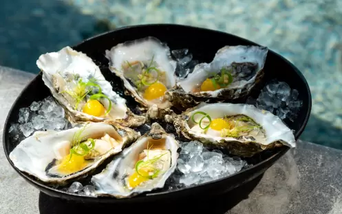 Petrino, Seafood Dish Petrino, Seafood Dish