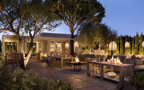 The Garden, Night The Garden, Night