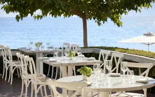Ouzo, Gastronomy Ouzo, Gastronomy