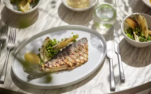 Fresco, Fish Dish Fresco, Fish Dish