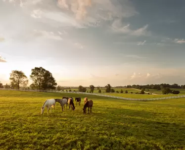 Kentucky